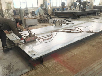 Changzhou Skyerscale Co.,Limited γραμμή παραγωγής εργοστασίων