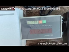 Καλή ποιότητα 304 Stainless Steel Bench Scale Μικρή βιομηχανική ζύγιση OEM/ODM/OBM Υποστηριζόμενη