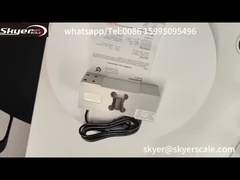 Κύτταρα αισθητήρα φόρτωσης ZEMIC L6G 500kg για βιομηχανικές ζυγίσεις πλατφόρμας βάρους