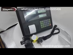 Ψηφιακός δείκτης βάρους