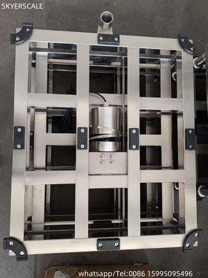 ποιότητας  Inox waterproof  600x800cm  500kg  high Accuracy Industrial Digital Electronic  Bench Platform Scale Εργοστάσιο
