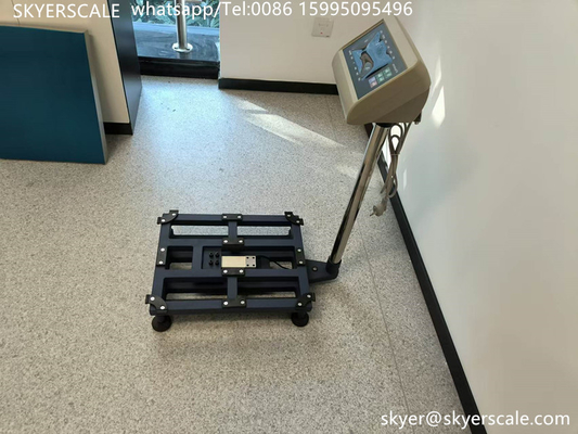 Ηλεκτρονική ζυγαριά 350kg Βιομηχανική ψηφιακή ζυγαριά