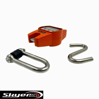 Ψηφιακή γερανογέφυρα 300kg με οθόνη LED LCD