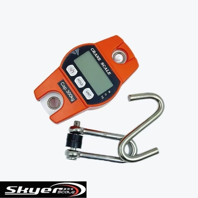 Ψηφιακή γερανογέφυρα 300kg με οθόνη LED LCD